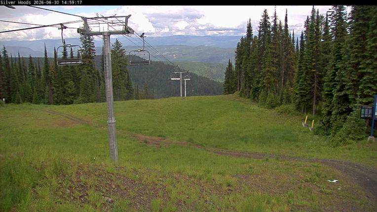 Webcam Silver Star: Top Of Silver Woods