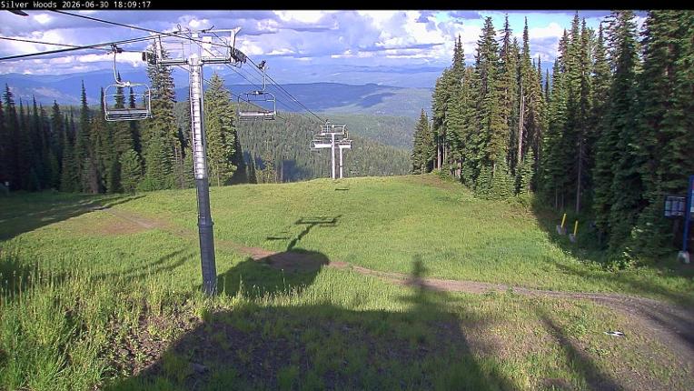 Webcam Silver Star: Top Of Silver Woods