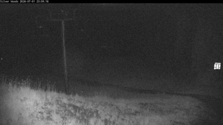 Webcam Silver Star: Top Of Silver Woods