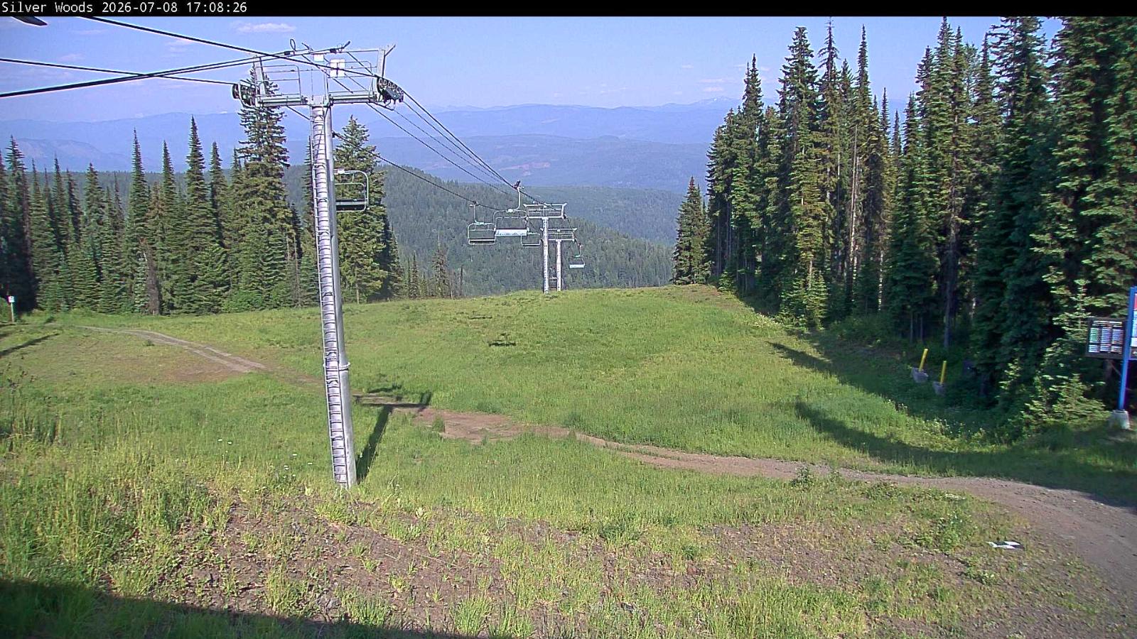 Webcam Silver Star: Top Of Silver Woods