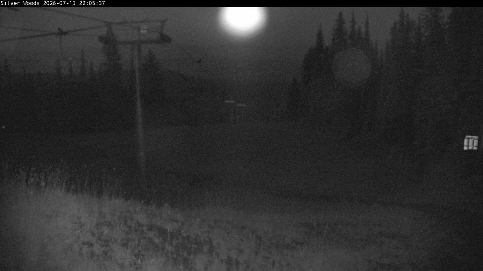 Webcam Silver Star: Top Of Silver Woods