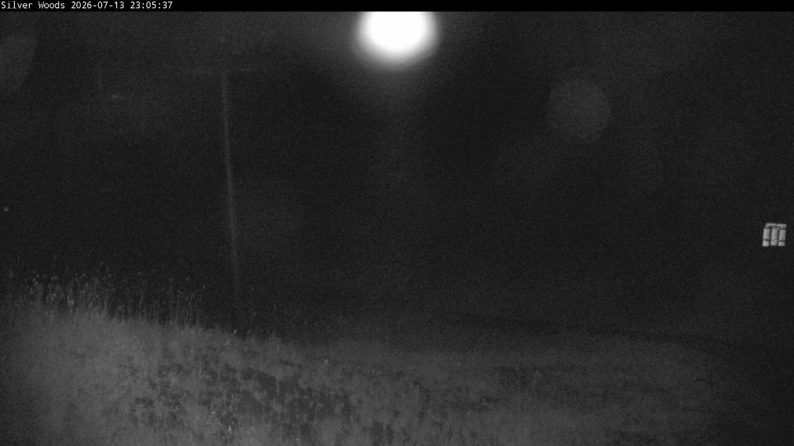 Webcam Silver Star: Top Of Silver Woods