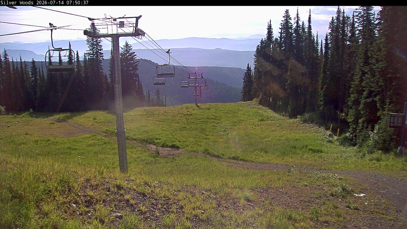 Webcam Silver Star: Top Of Silver Woods