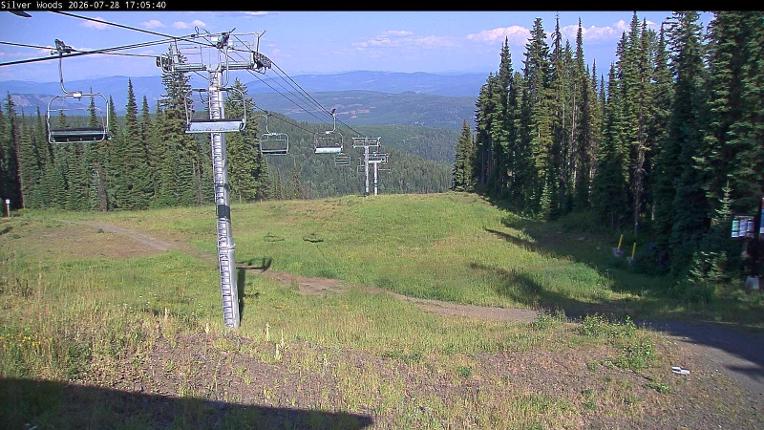 Webcam Silver Star: Top Of Silver Woods