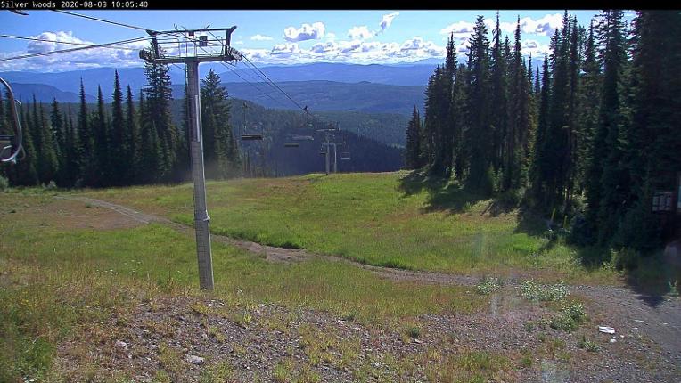 Webcam Silver Star: Top Of Silver Woods