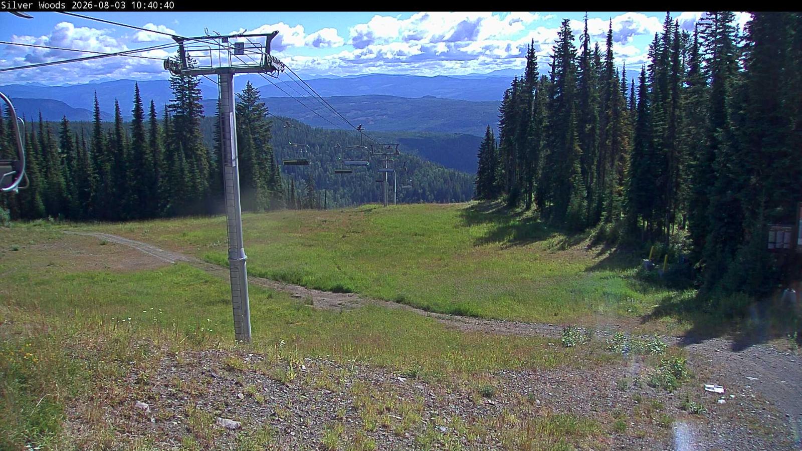 Webcam Silver Star: Top Of Silver Woods