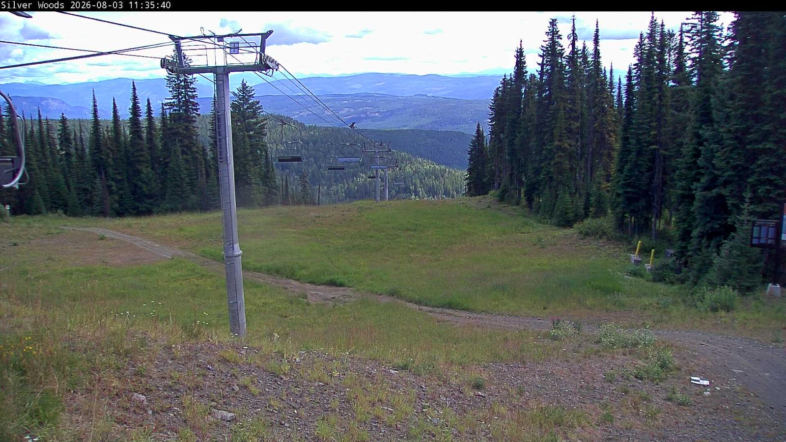 Webcam Silver Star: Top Of Silver Woods