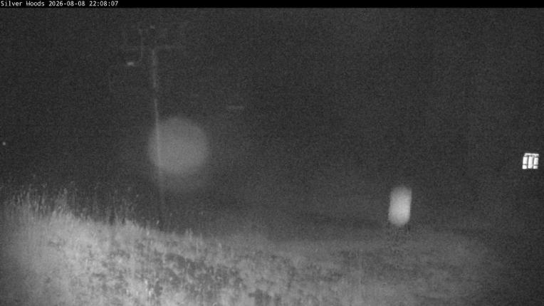 Webcam Silver Star: Top Of Silver Woods