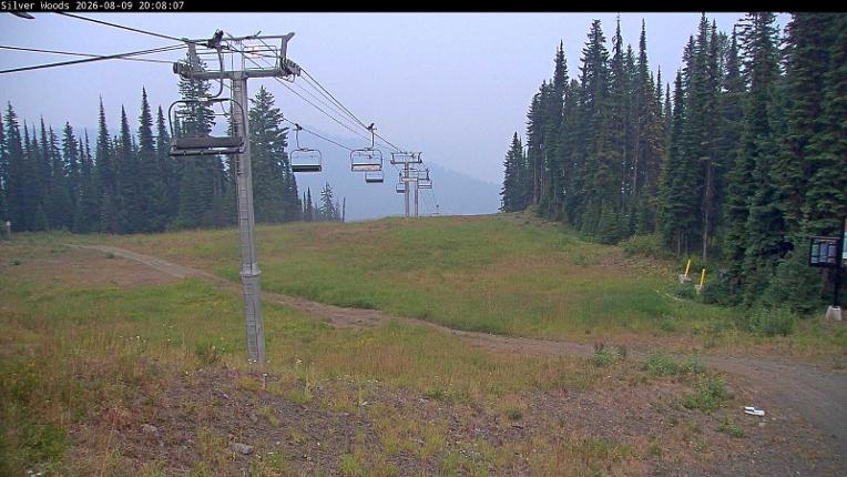 Webcam Silver Star: Top Of Silver Woods