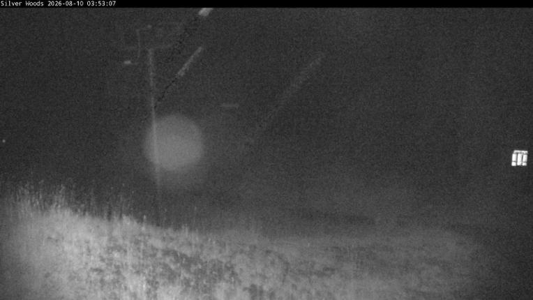 Webcam Silver Star: Top Of Silver Woods