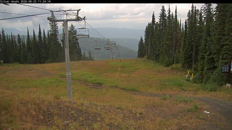 Webcam Silver Star: Top Of Silver Woods
