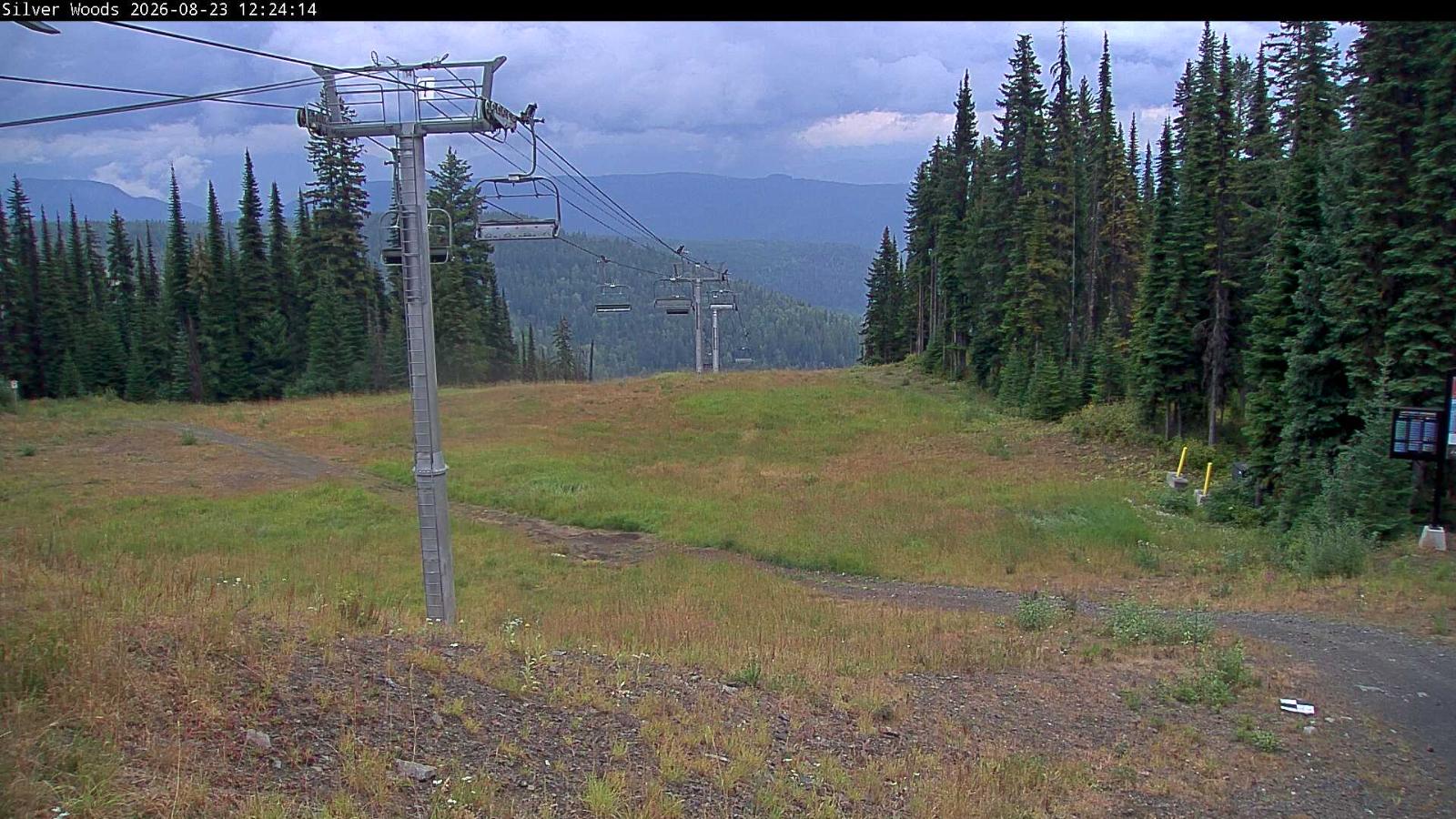 Webcam Silver Star: Top Of Silver Woods
