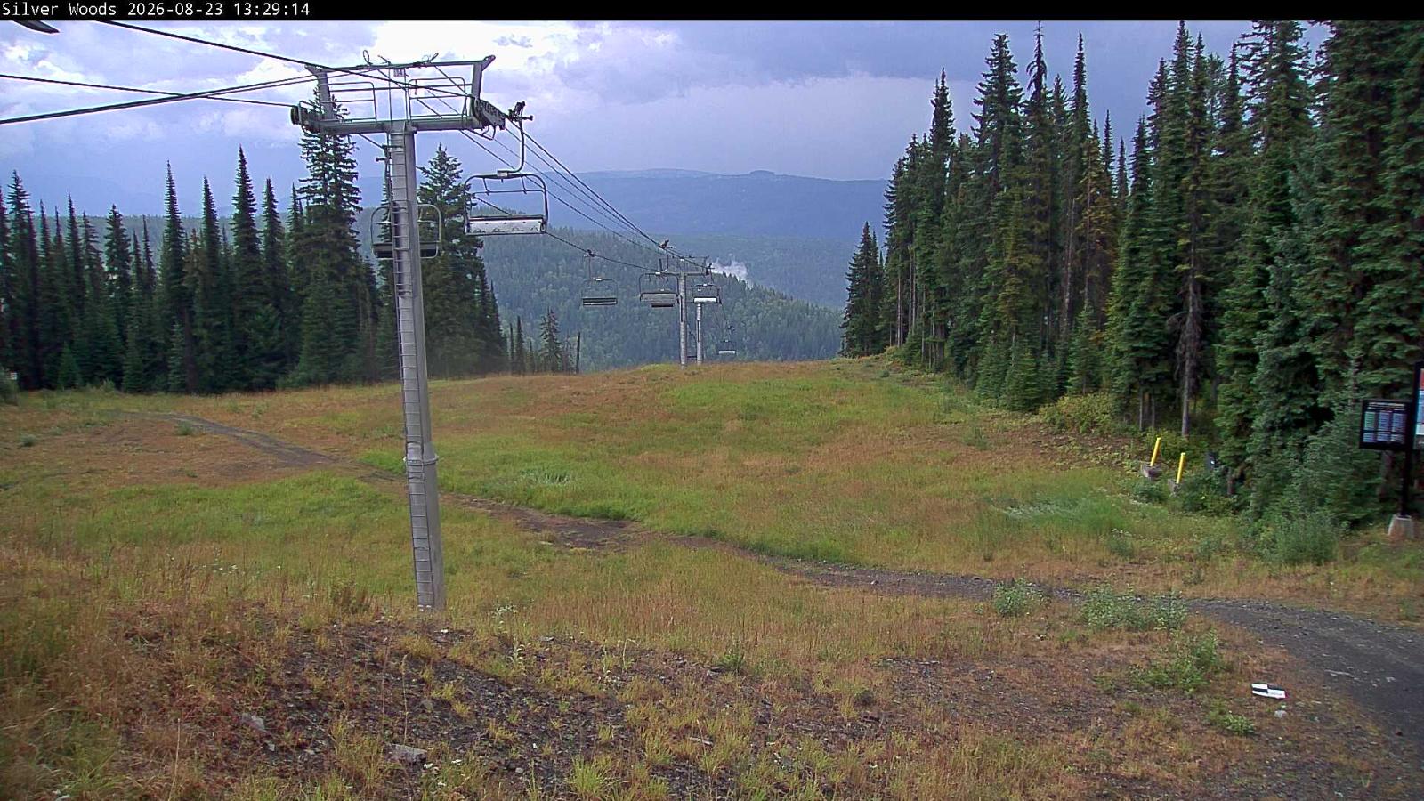 Webcam Silver Star: Top Of Silver Woods