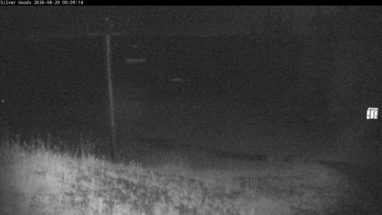 Webcam Silver Star: Top Of Silver Woods