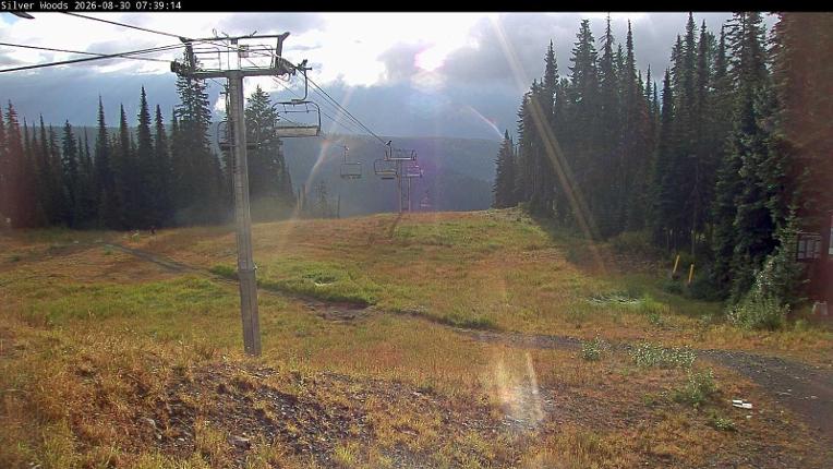 Webcam Silver Star: Top Of Silver Woods