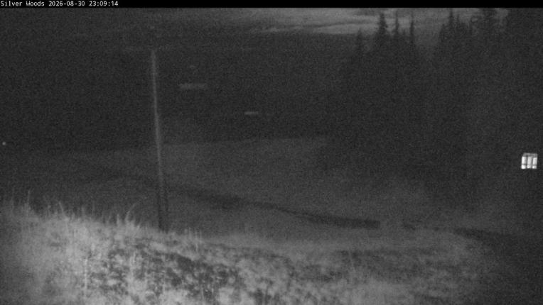 Webcam Silver Star: Top Of Silver Woods