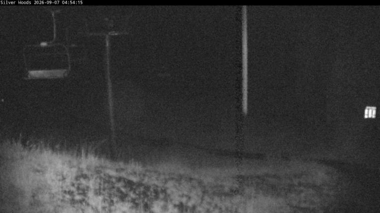 Webcam Silver Star: Top Of Silver Woods