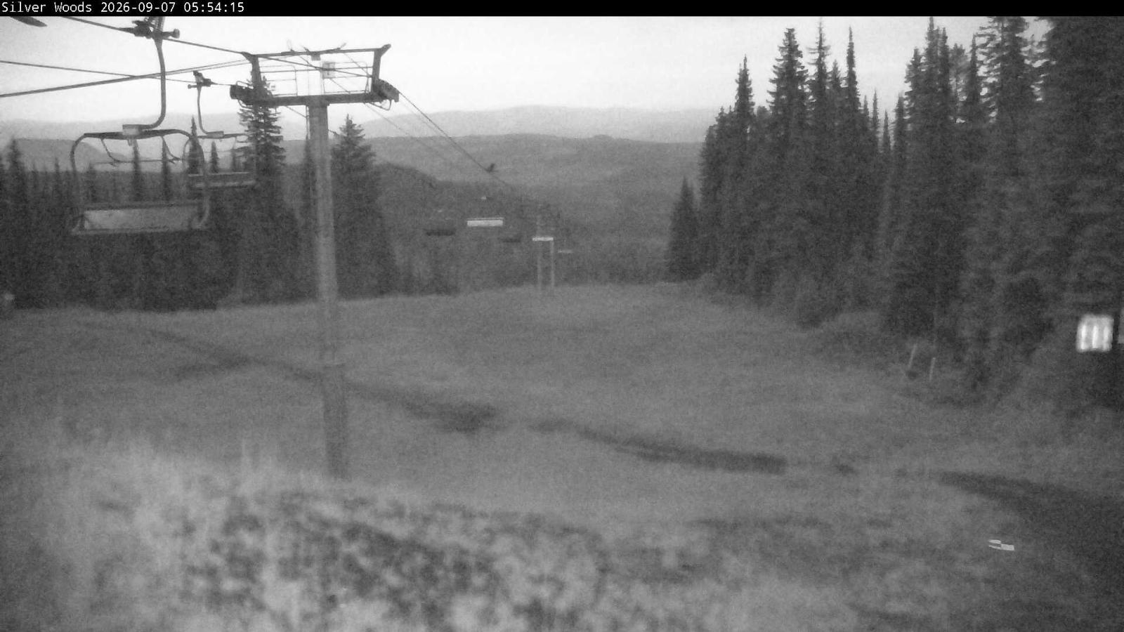 Webcam Silver Star: Top Of Silver Woods