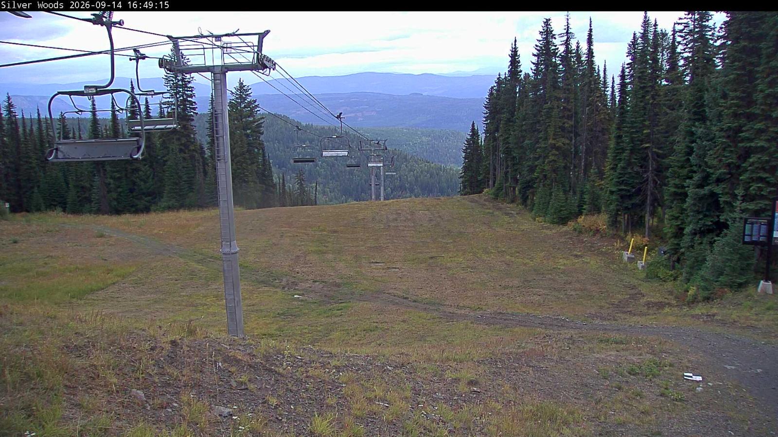 Webcam Silver Star: Top Of Silver Woods