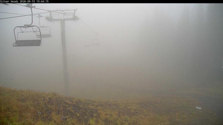 Webcam Silver Star: Top Of Silver Woods