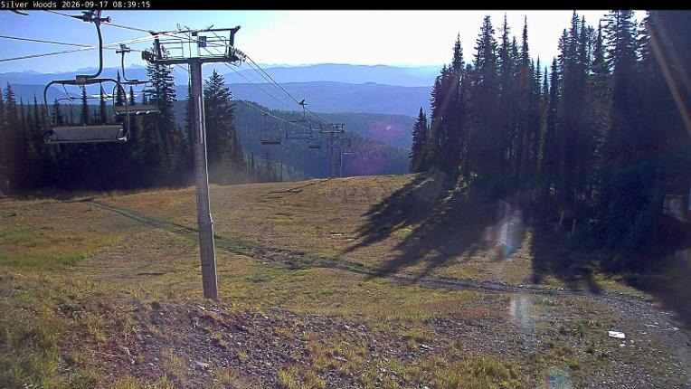 Webcam Silver Star: Top Of Silver Woods
