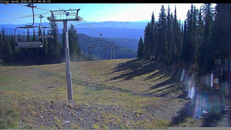 Webcam Silver Star: Top Of Silver Woods
