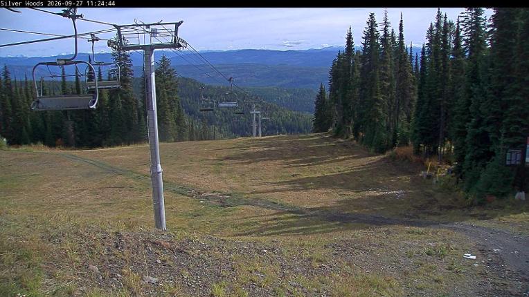 Webcam Silver Star: Top Of Silver Woods