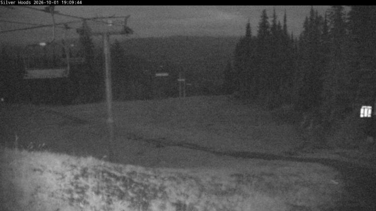 Webcam Silver Star: Top Of Silver Woods