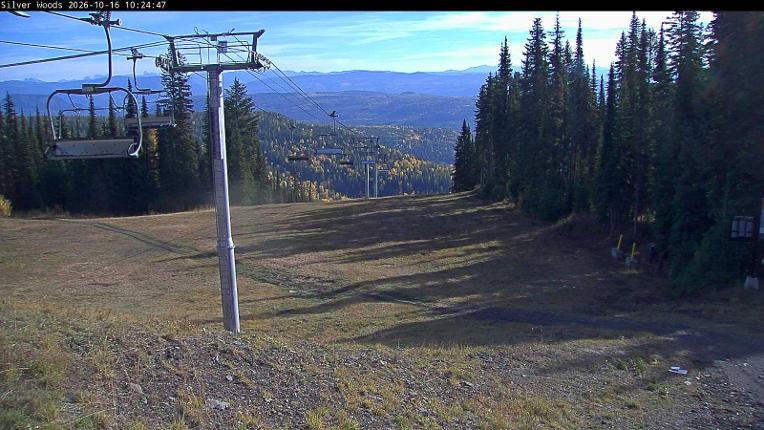 Webcam Silver Star: Top Of Silver Woods