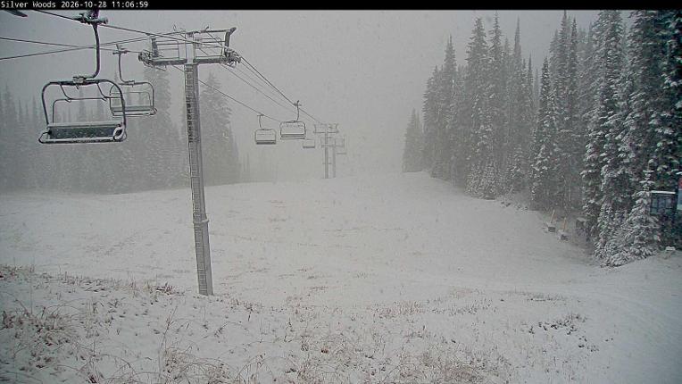 Webcam Silver Star: Top Of Silver Woods