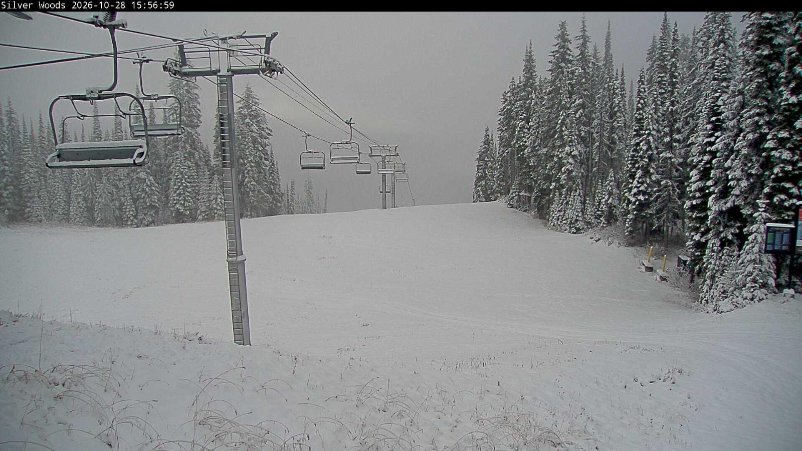 Webcam Silver Star: Top Of Silver Woods