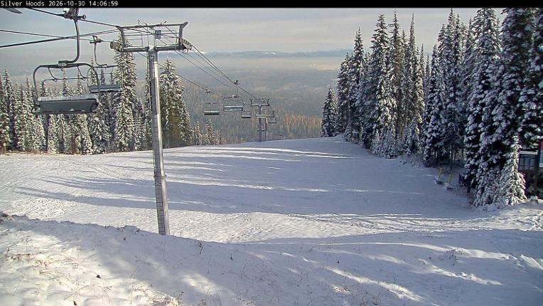 Webcam Silver Star: Top Of Silver Woods