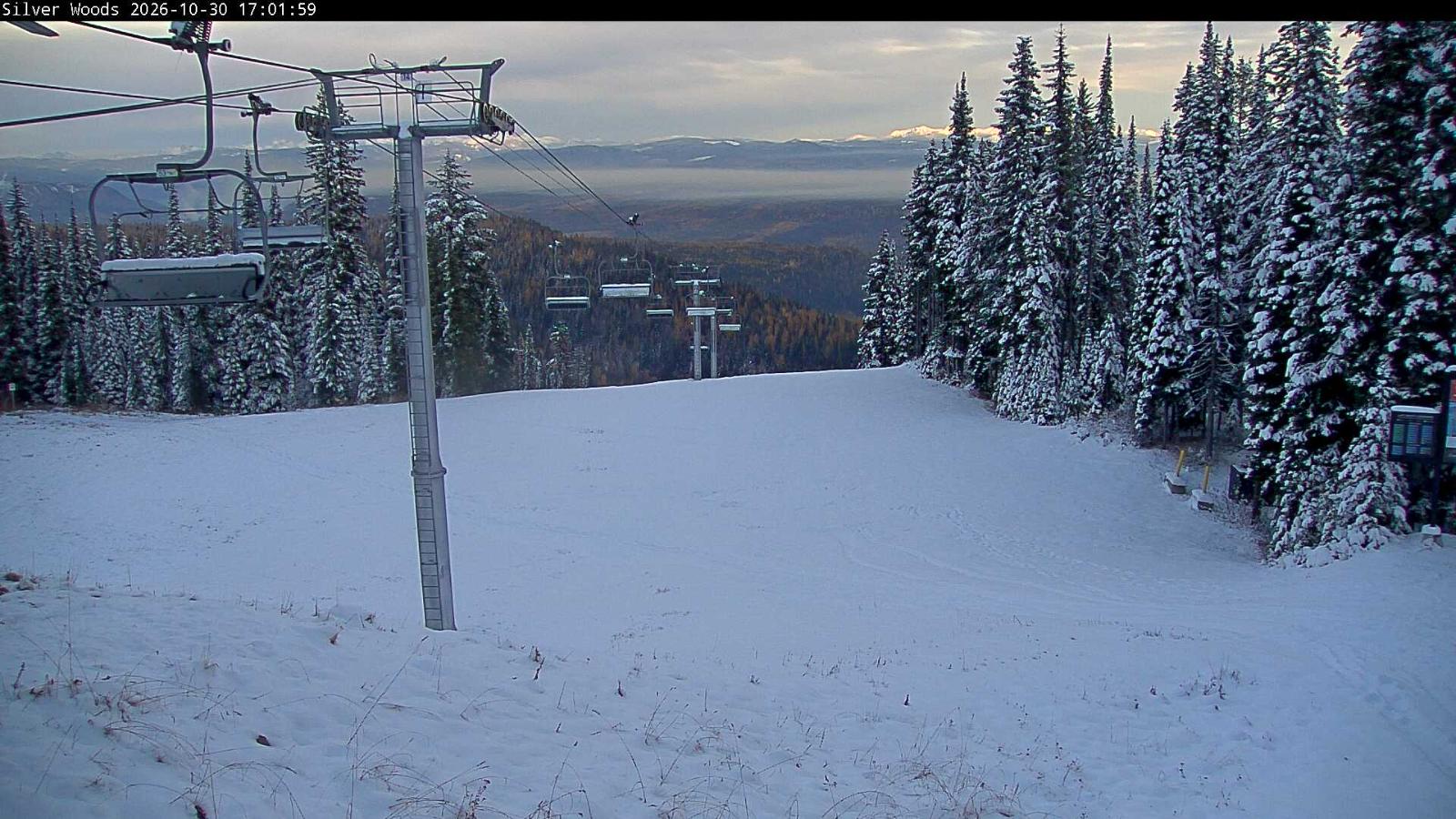 Webcam Silver Star: Top Of Silver Woods