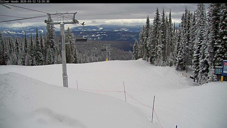 Webcam Silver Star: Top Of Silver Woods