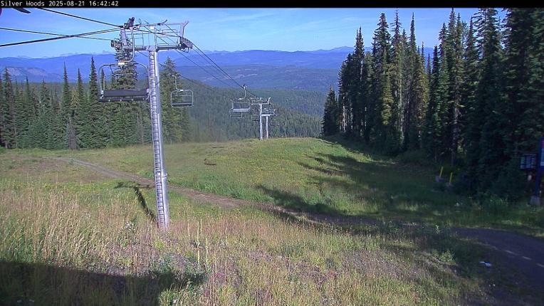 Webcam Silver Star: Top Of Silver Woods