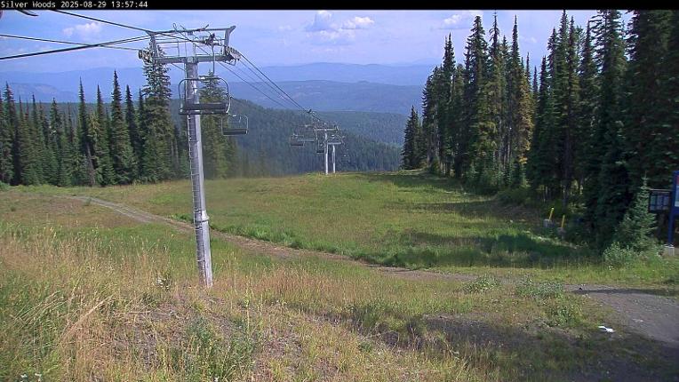Webcam Silver Star: Top Of Silver Woods