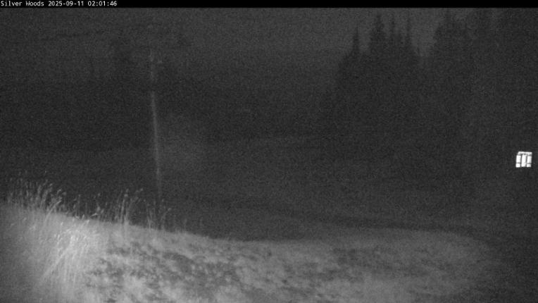 Webcam Silver Star: Top Of Silver Woods