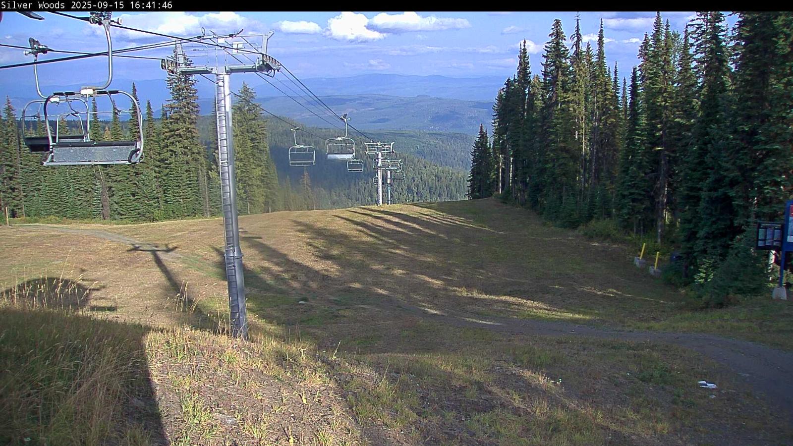 Webcam Silver Star: Top Of Silver Woods