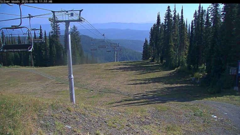 Webcam Silver Star: Top Of Silver Woods