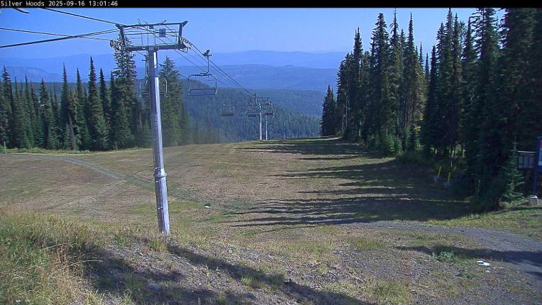 Webcam Silver Star: Top Of Silver Woods