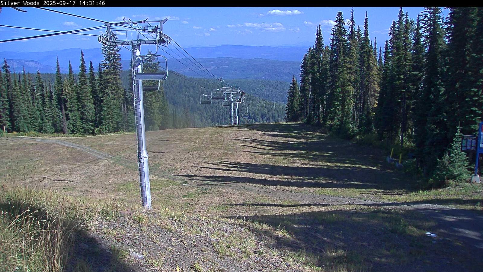 Webcam Silver Star: Top Of Silver Woods