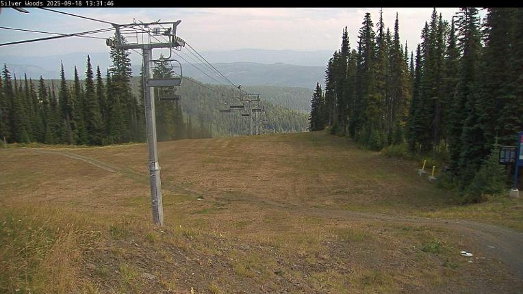 Webcam Silver Star: Top Of Silver Woods
