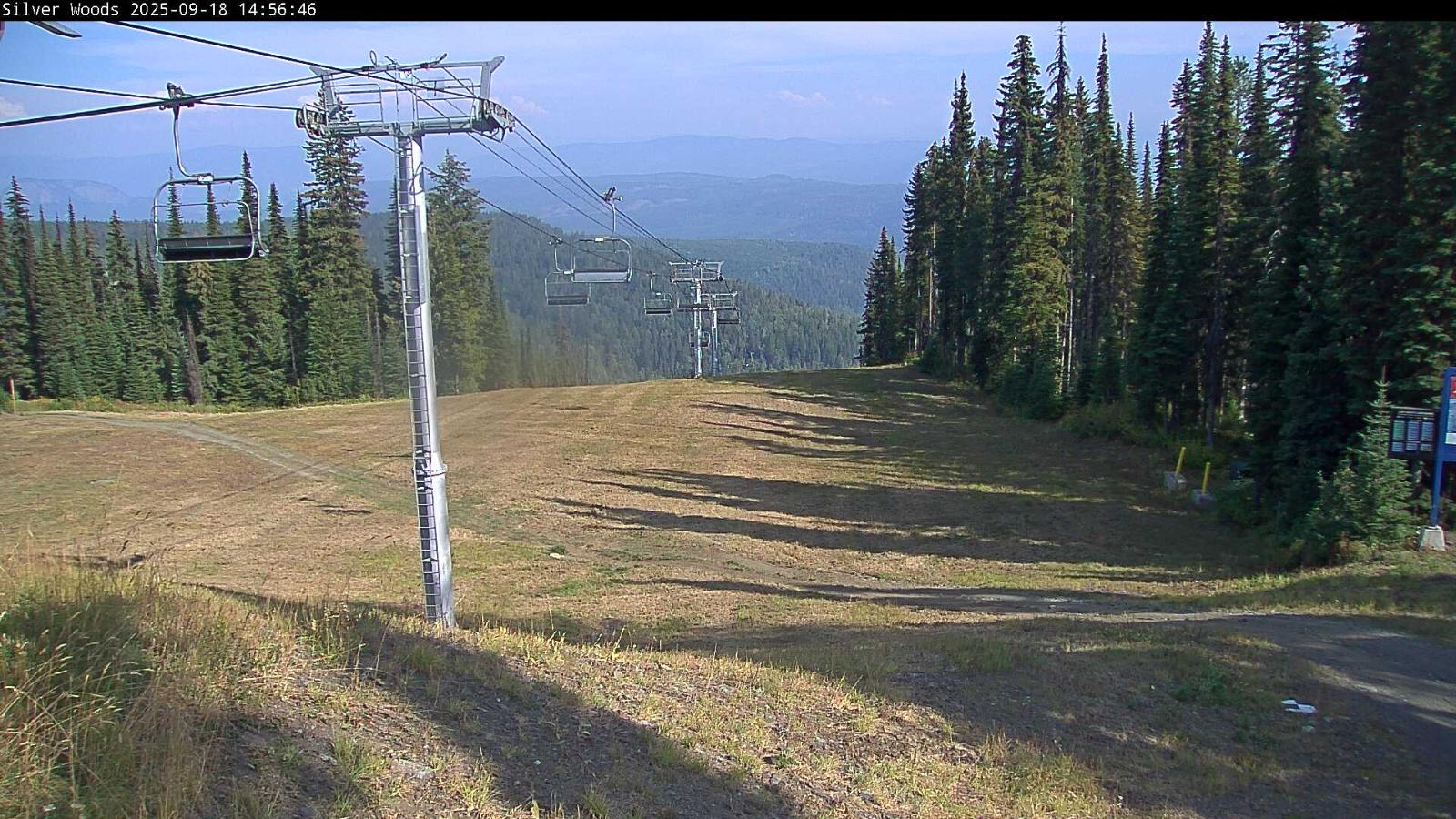 Webcam Silver Star: Top Of Silver Woods