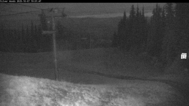 Webcam Silver Star: Top Of Silver Woods