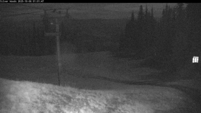 Webcam Silver Star: Top Of Silver Woods