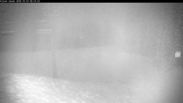 Webcam Silver Star: Top Of Silver Woods