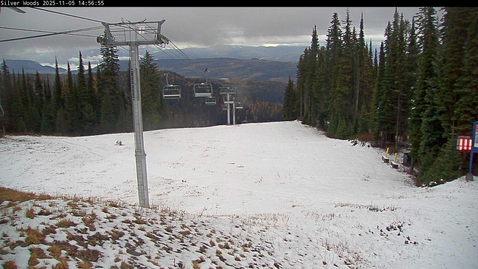 Webcam Silver Star: Top Of Silver Woods