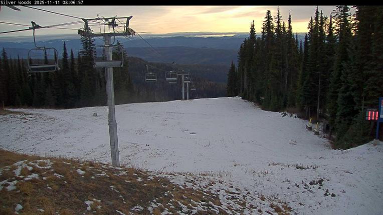 Webcam Silver Star: Top Of Silver Woods