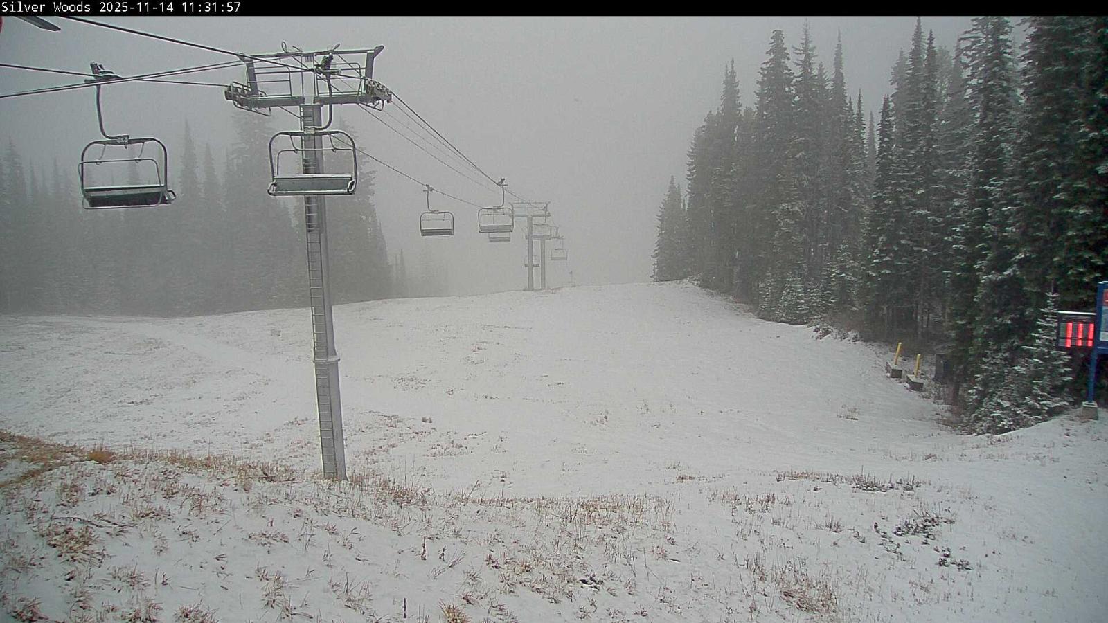 Webcam Silver Star: Top Of Silver Woods