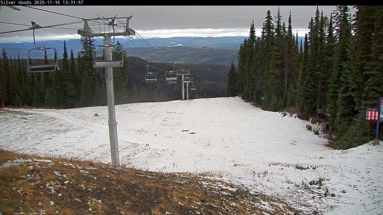 Webcam Silver Star: Top Of Silver Woods